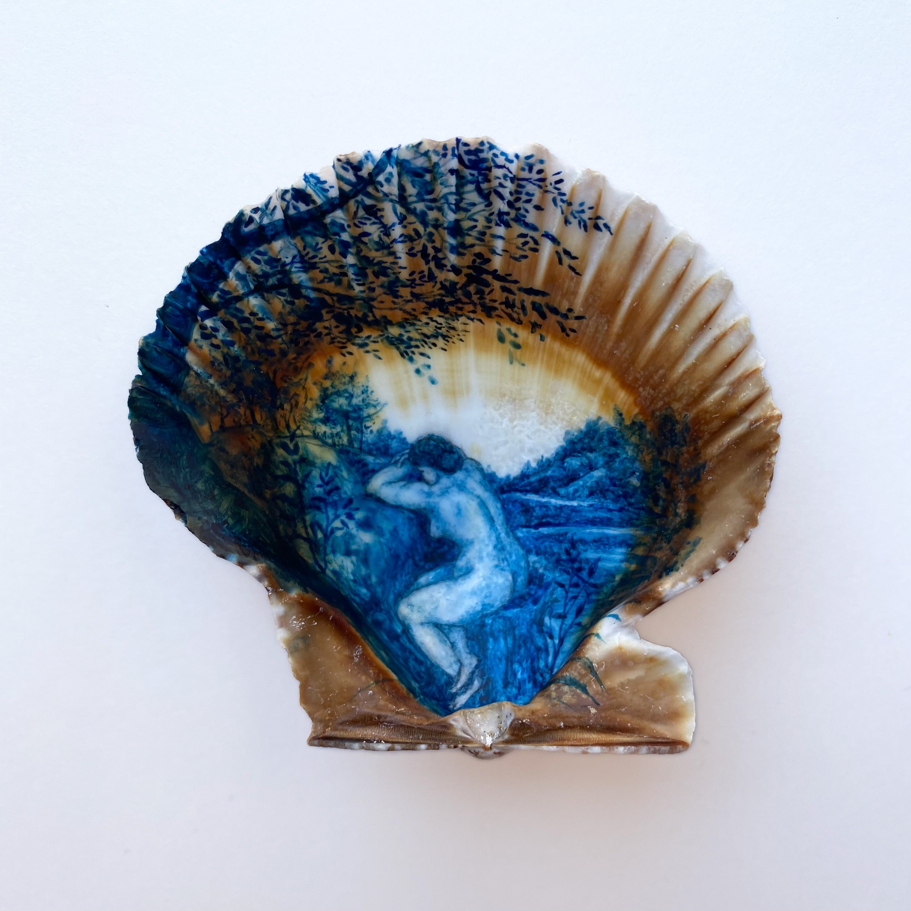 Shells