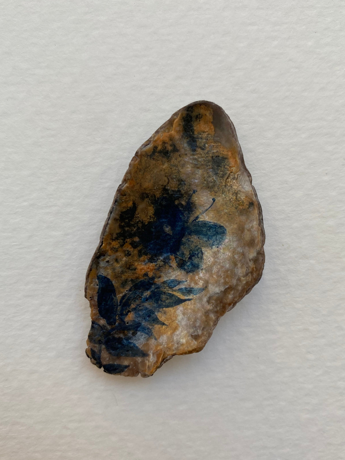 Butterfly Fragment