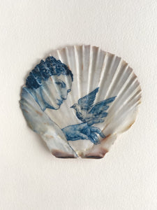 Dove Shell