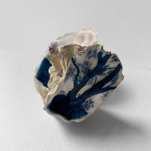 Load image into Gallery viewer, Wild Love Oyster
