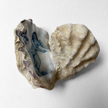Load image into Gallery viewer, Wild Love Oyster
