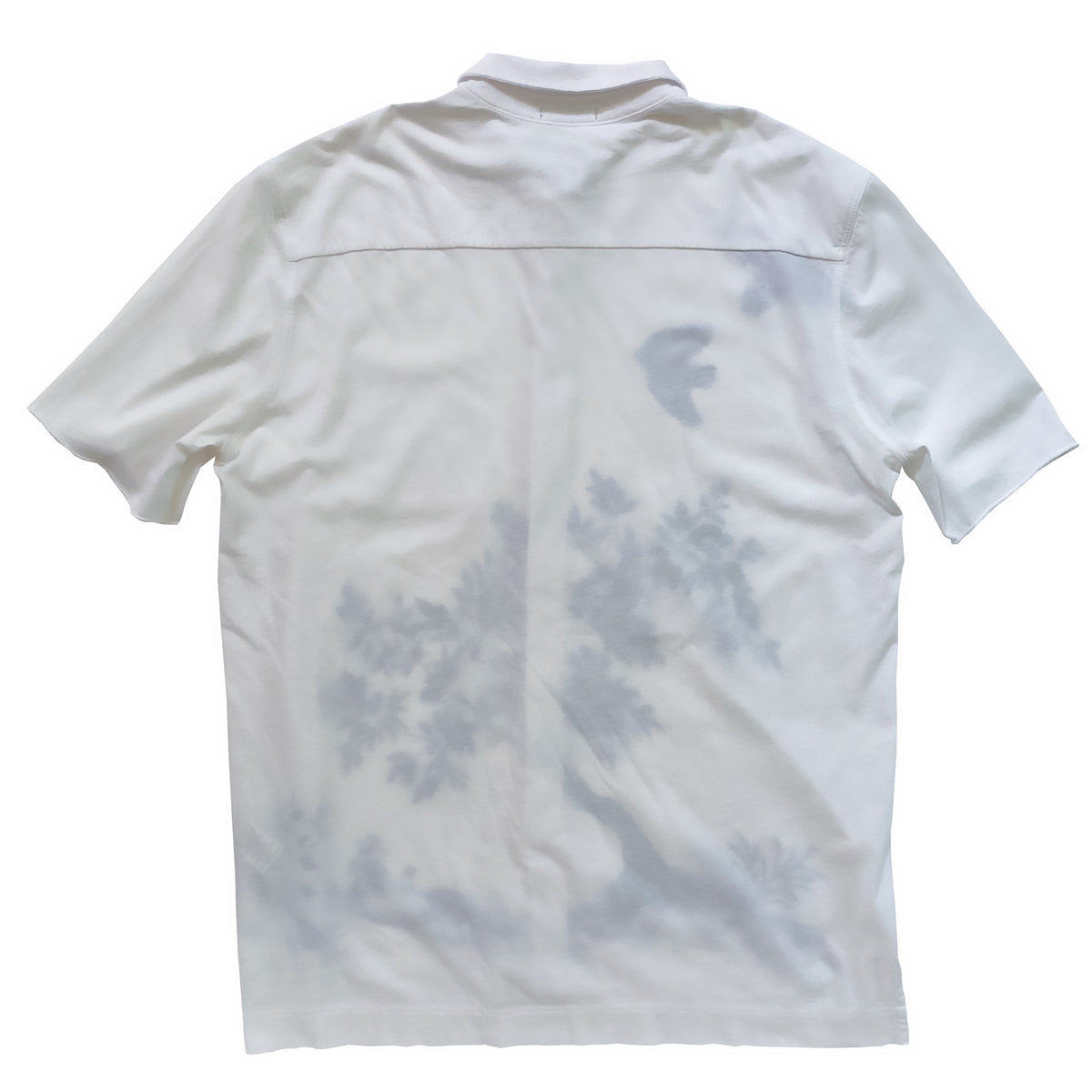 Birds Top