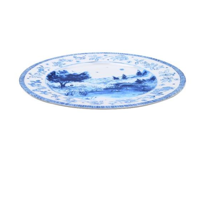 Swimming Plate